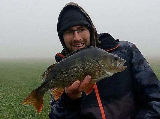 Perch on a foggy day