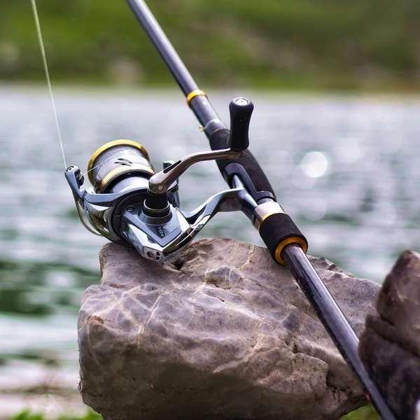 Specialist Barbel Chub Fishing